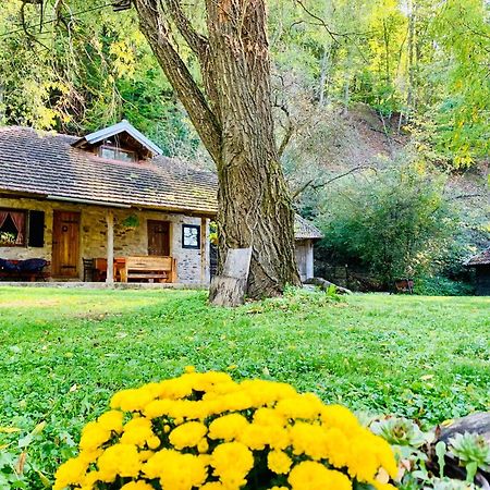 Kuca Za Odmor Todorovica Mlin Βίλα Gornji Milanovac Εξωτερικό φωτογραφία